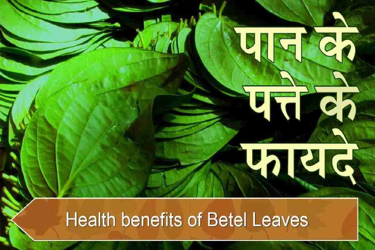 Betel Leaves Benefits: पान के पत्तों के चमत्कारी फायदे, आपको कर देंगे हैरान