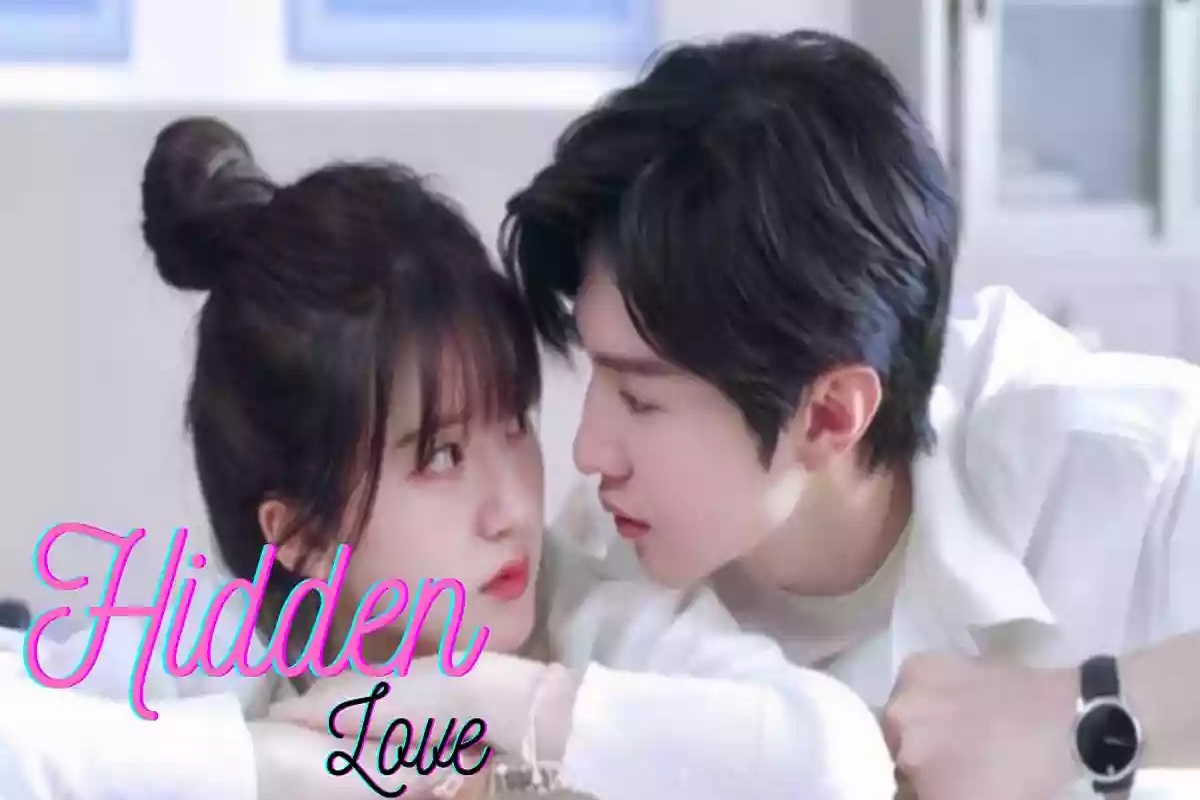 Reviewing the Chinese drama Hidden Love, what are some of the