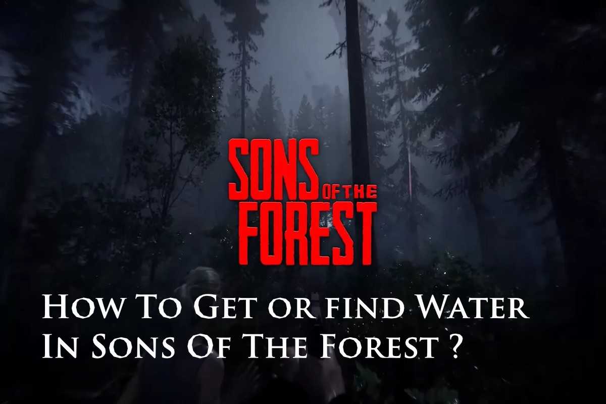 How To Get or find Water In Sons Of The Forest Video Game?