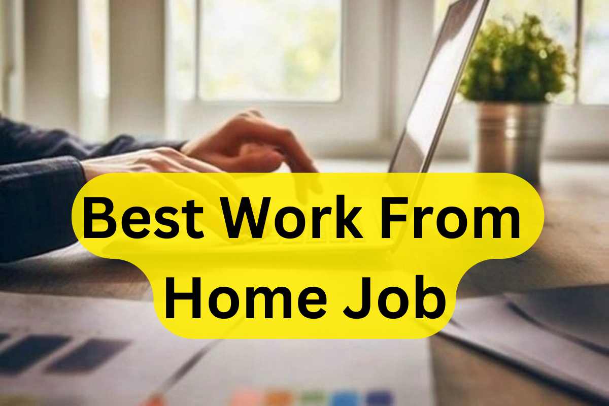 Work Form Home Job : अगर घर बैठे करना है काम शानदार सैलरी पर, तो ये रहीं टॉप-5 जॉब्स
