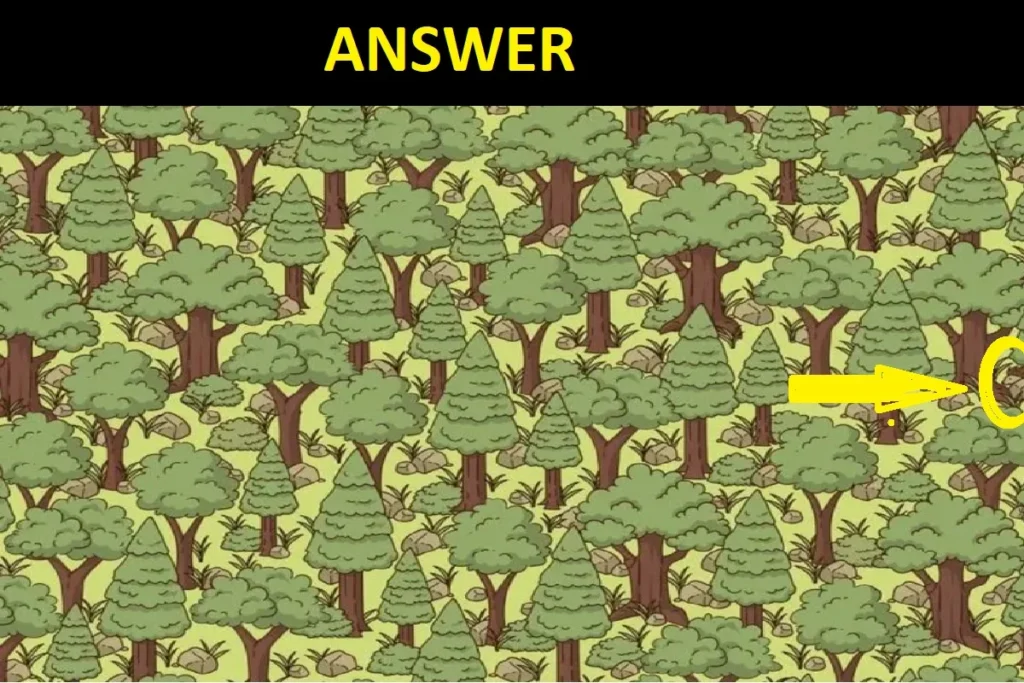 Hawk-eyed Challenge: Can You Spot The Hedgehog Animal In This Image Within 10 Secs?