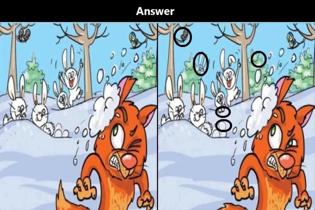 Only 3% People Can Spot The 5 Difference in 5 Secs?