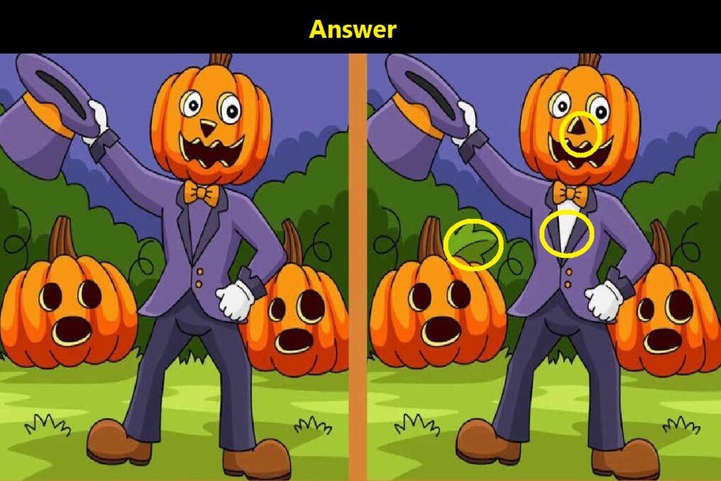 Brain Teaser Challenge: Can You Spot 3 Differences between these 2 image in 6 Seconds