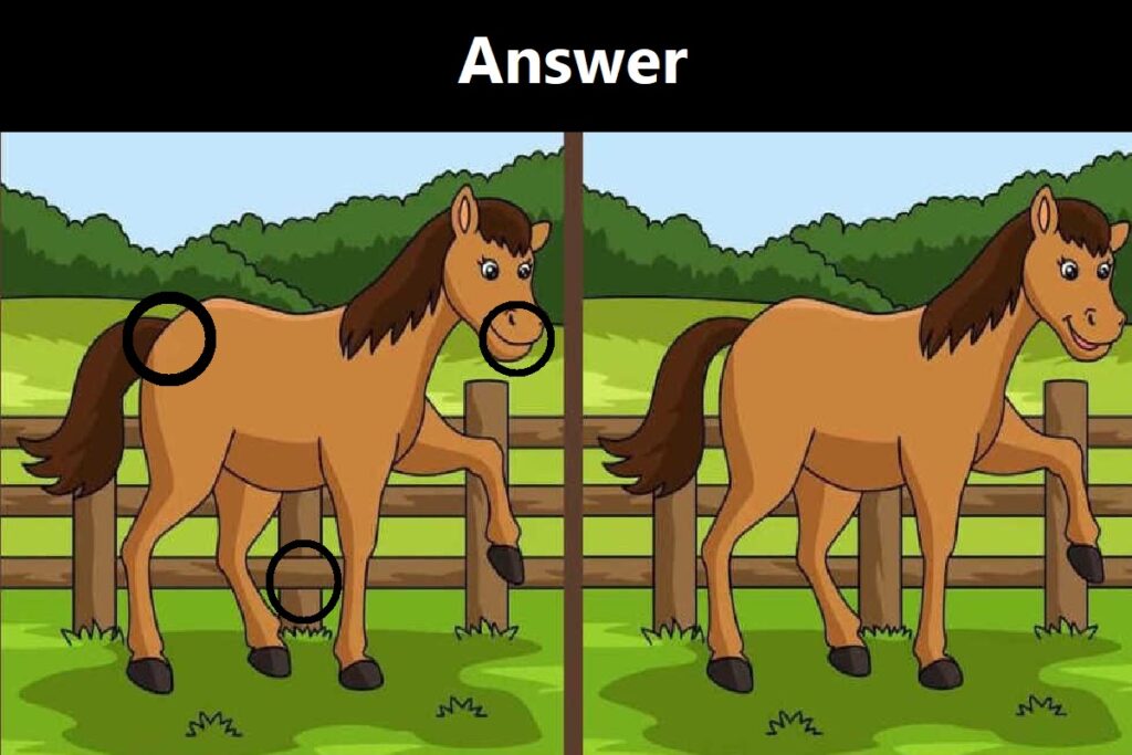 Visual Test Challenge: Can You Spot 3 Differences in These Two Images Within 5 Secs?