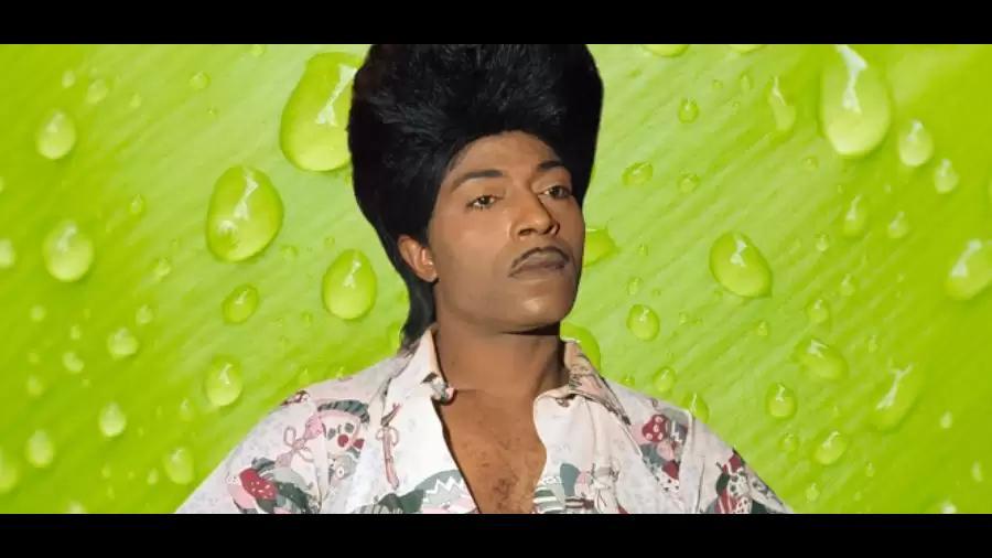 Little Richard: The Rock and Roll Pioneer