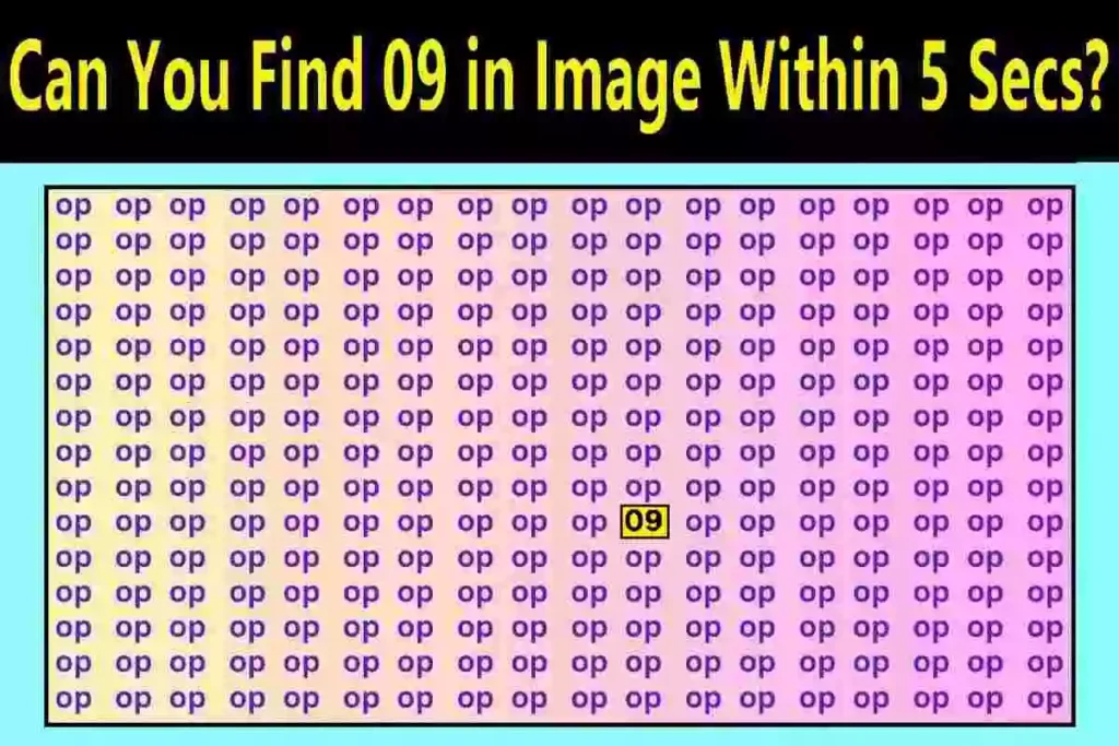 Optical Illusion Challenge: Can You Find 09 in Image Within 5 Secs?