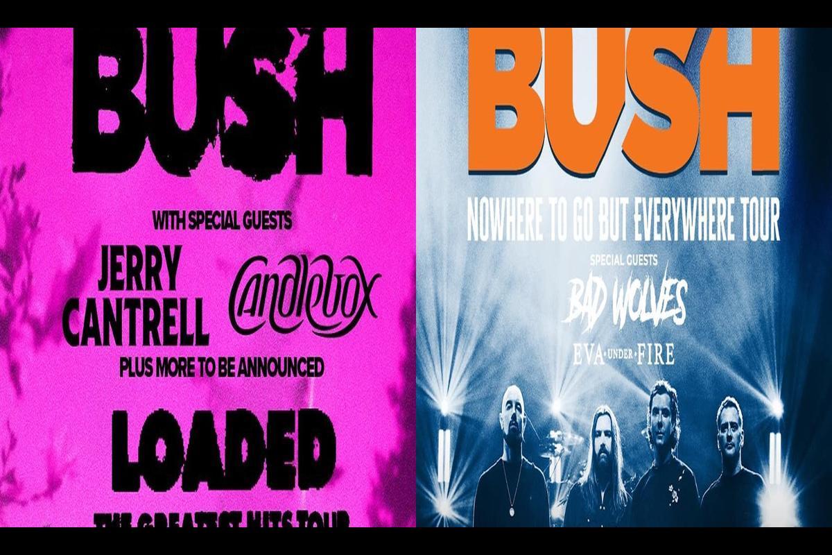 Bush tour 2024 presale code, How to get tickets during the artist